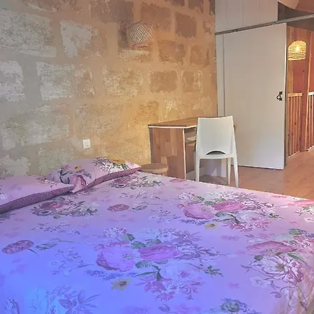 Logement Pierre Et Bois Independant A Pessac Proche Bordeaux * ペサック