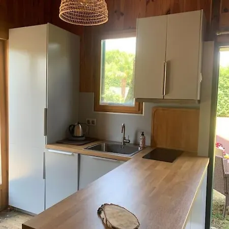 Logement Pierre Et Bois Independant A Pessac Proche Bordeaux アパート ペサック